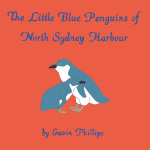 Little Blue Penguins of North Sydney Harbour