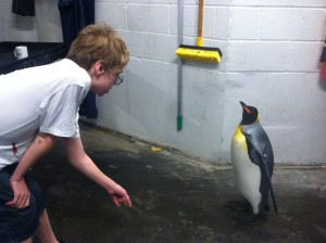 Gavin and a King Penguin